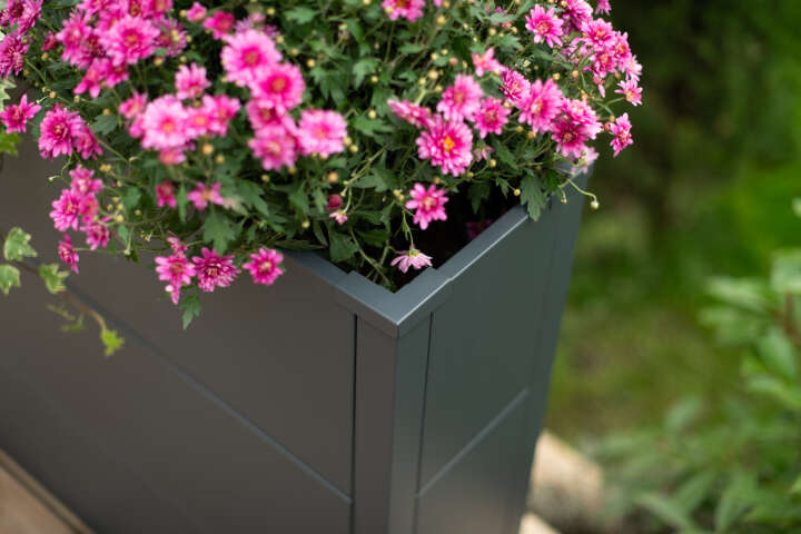 WESTMANN Pflanzkübel Talus